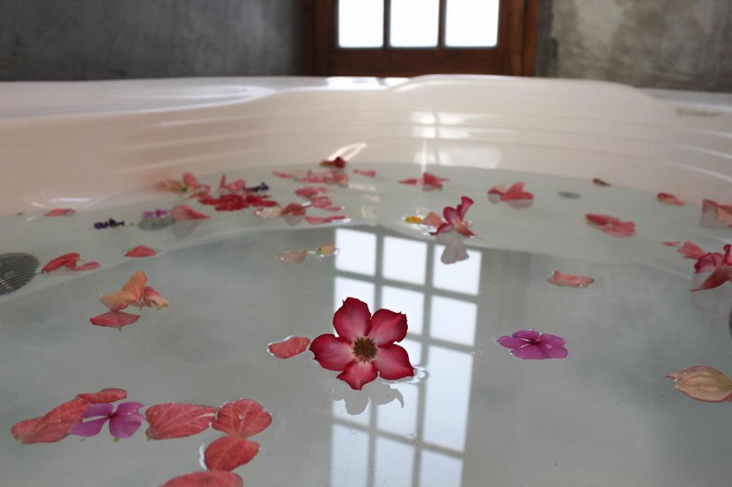 Breathe Healing & Wellness Hotel Cambutal Eksteriør billede