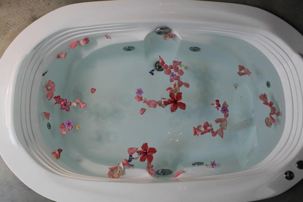 Breathe Healing & Wellness Hotel Cambutal Eksteriør billede